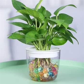 الإبداعية DIY البيئية الهواء مصنع حامل زهور زهور المائية وعاء زهرة 6*9 سم جولة شفافة